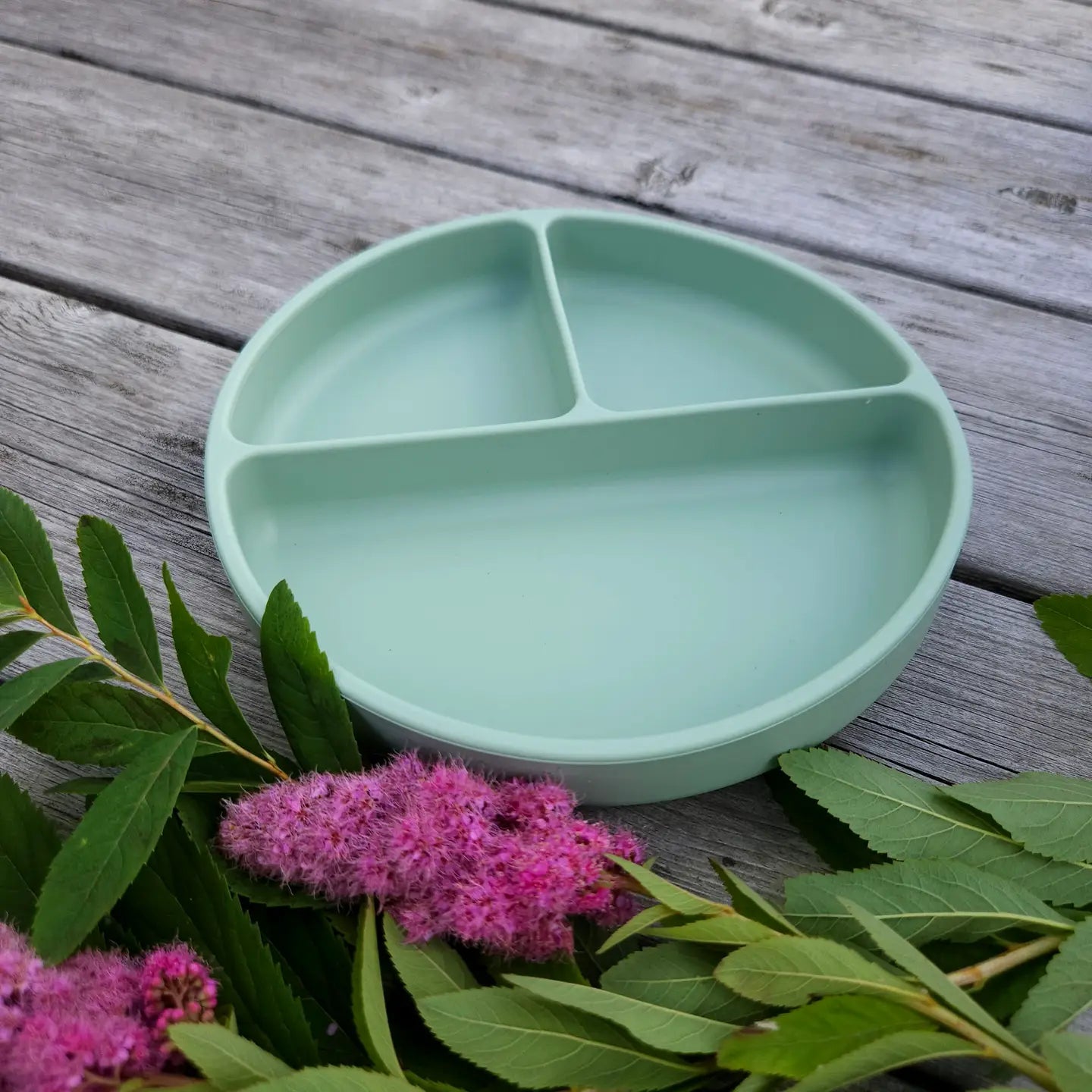 Silikoninė limpanti lėkštė, žalia